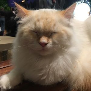 Meet your Posher, Wendy